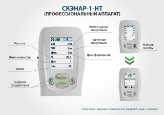 СКЭНАР-1-НТ (исполнение 01)  в Ачинске купить Нейродэнс ПКМ официальный сайт - denasdevice.ru 